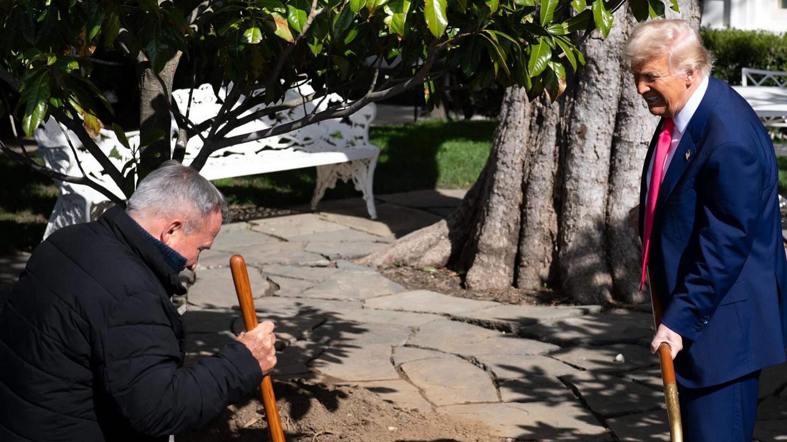 Ντόναλντ Τραμπ: Βοήθησε με ένα χρυσό φτυάρι στην αντικατάσταση της ιστορικής μανόλιας στον Λευκό Οίκο – ΒΙΝΤΕΟ