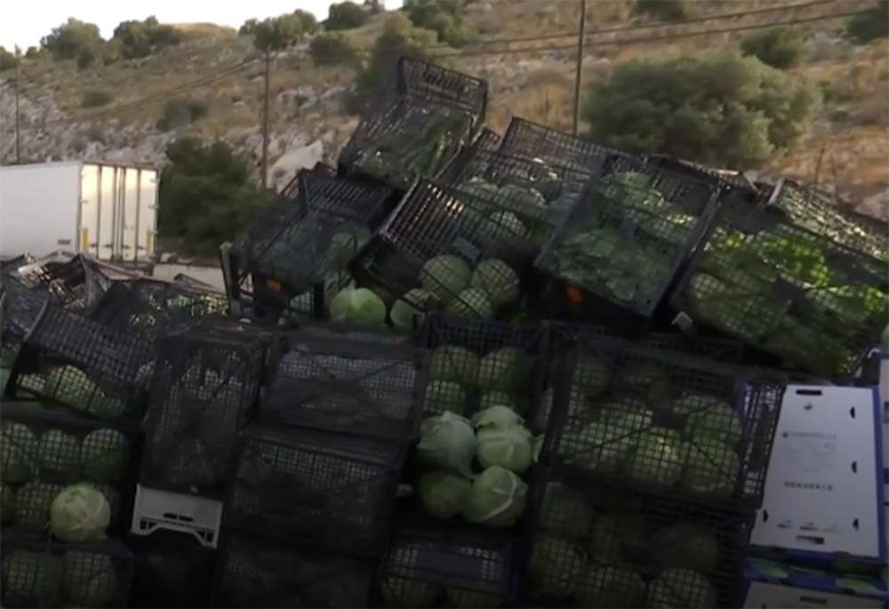 ΝΤΑΛΙΚΑ- λεωφόρος Αθηνών