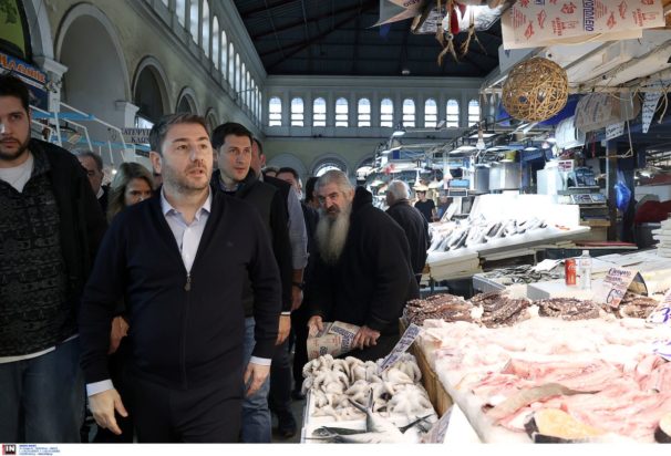 Νίκος Ανδρουλάκης Βαρβάκειος Αγορά