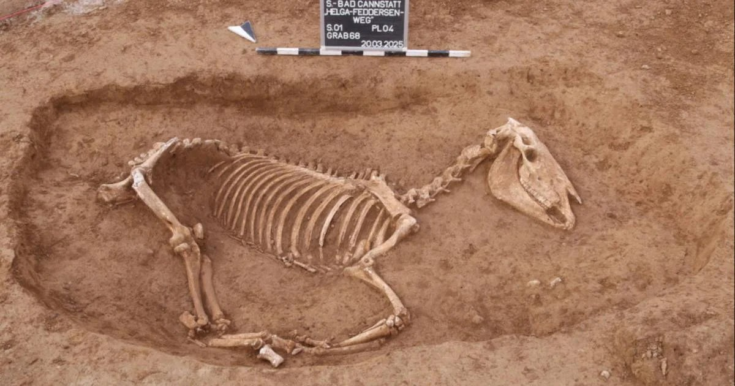 Ανασκαφές στην ταφή των αλόγων, έδειξαν ότι αυτή περιείχε κτερίσματα, δύο κεραμικά αγγεία και ένα λυχνάρι. Φωτογραφία: Υπηρεσία προστασίας των μνημείων της Στουτγάρδης/ ArchaeoBW