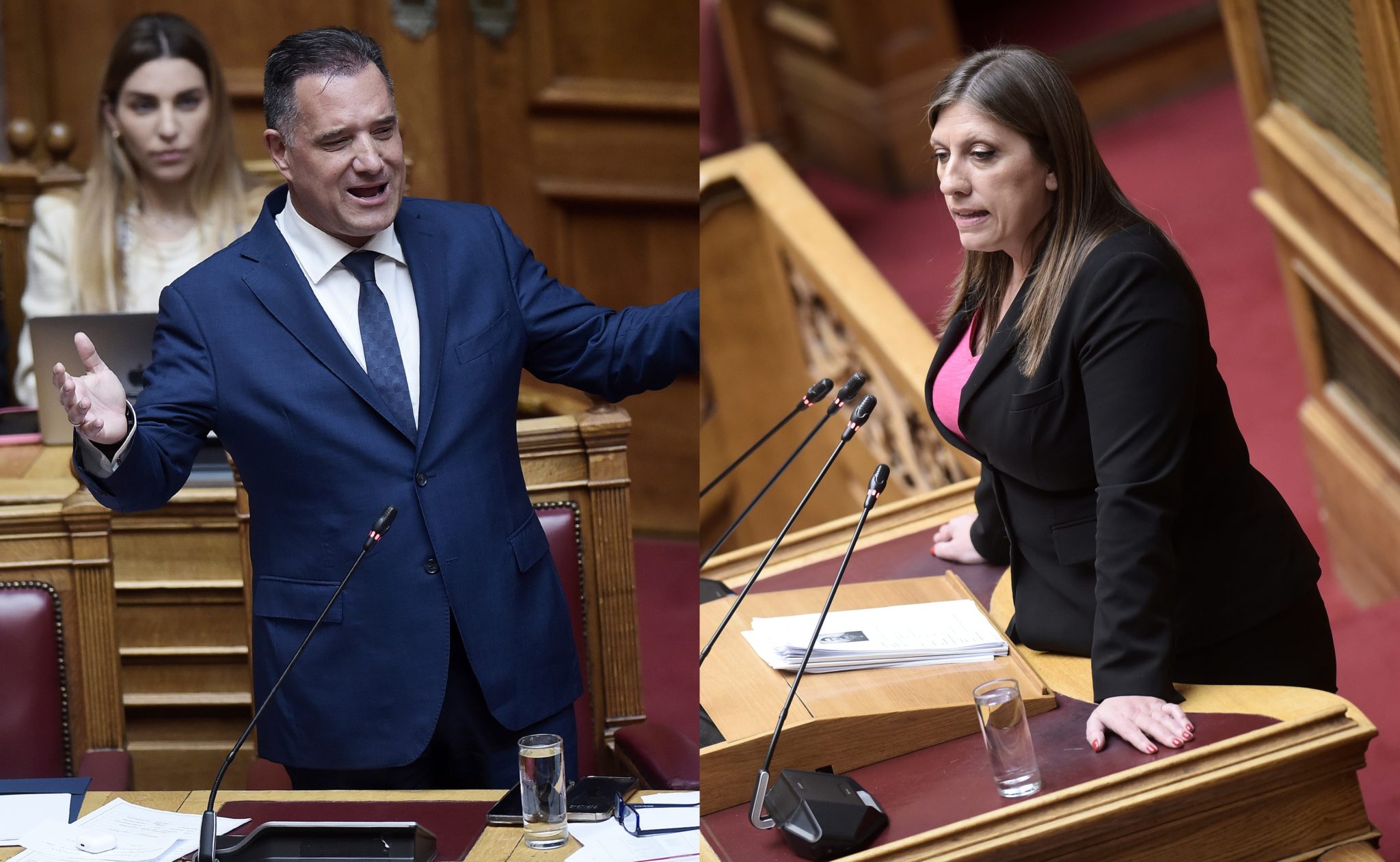 Άδωνις Γεωργιάδης, Ζωή Κωνσταντοπούλου, Βουλή