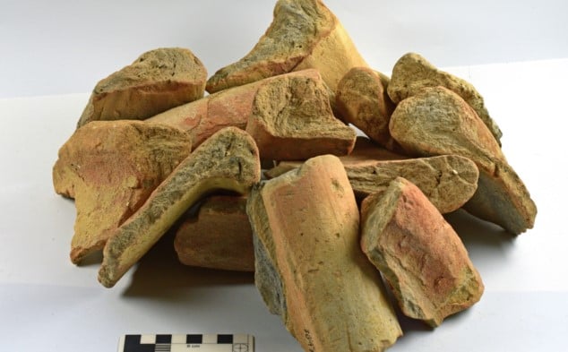 Κομμάτια από στεφάνες (χείλη) των κεραμικών δοχείων που βρέθηκαν στο Τελ Σικμόνα.