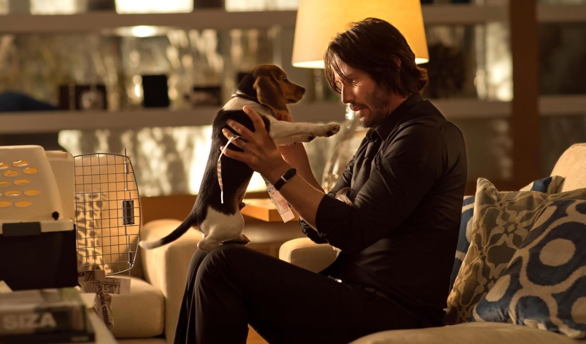 «John Wick»: Η Lionsgate επεκτείνει το franchise με νέες παραγωγές 