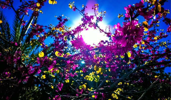 Ο καιρός του Πάσχα