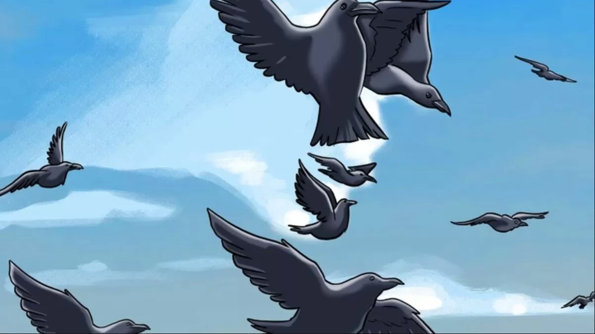 Οπτική ψευδαίσθηση: Μόνο 1 στους 5 ανθρώπους θα βρει το πρόσωπο σε 6 δευτερόλεπτα