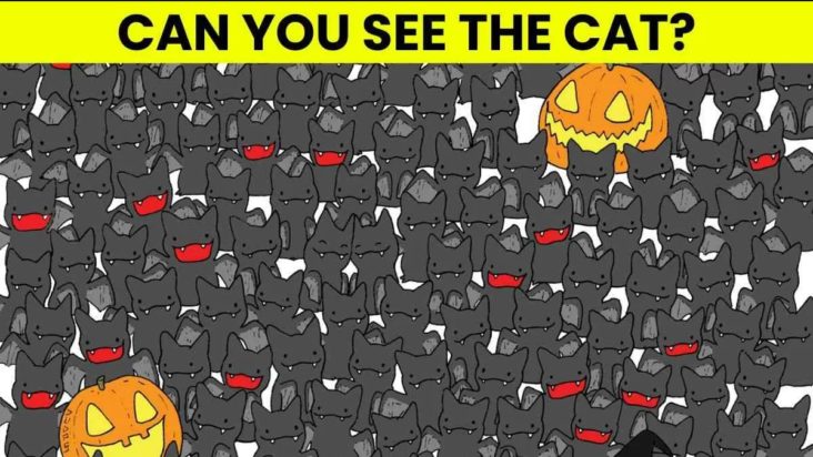 Οπτική ψευδαίσθηση: Μόνο αν έχεις αετίσια ματιά θα βρεις την γάτα σε 7 δευτερόλεπτα