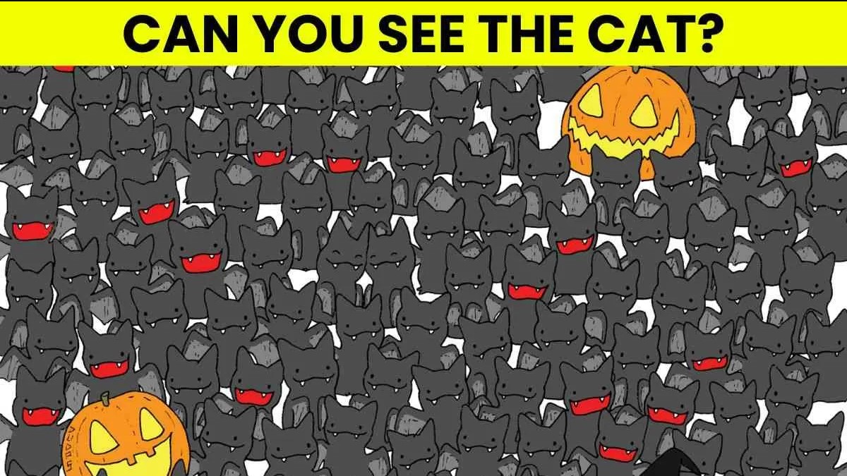 Οπτική ψευδαίσθηση: Μόνο αν έχεις αετίσια ματιά θα βρεις την γάτα σε 7 δευτερόλεπτα
