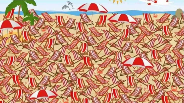 Οπτική ψευδαίσθηση: Μόνο το 3% των ανθρώπων θα βρει τα πέδιλα του σκι σε 6 δευτερόλεπτα