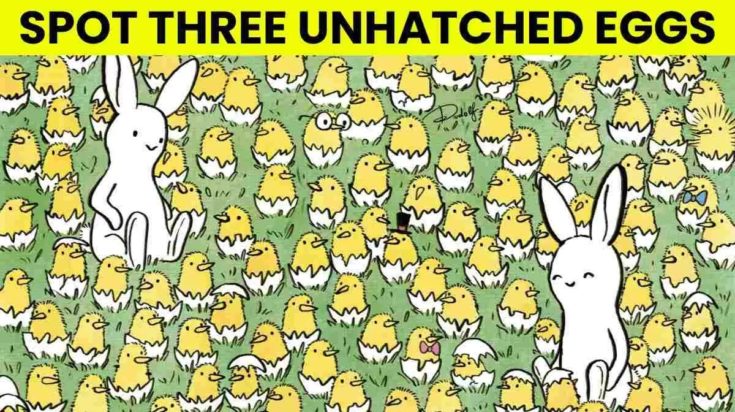 Οπτική ψευδαίσθηση: Μόνο αν είσαι ο Σέρλοκ Χολμς θα βρεις τα 3 αυγά σε 5 δευτερόλεπτα