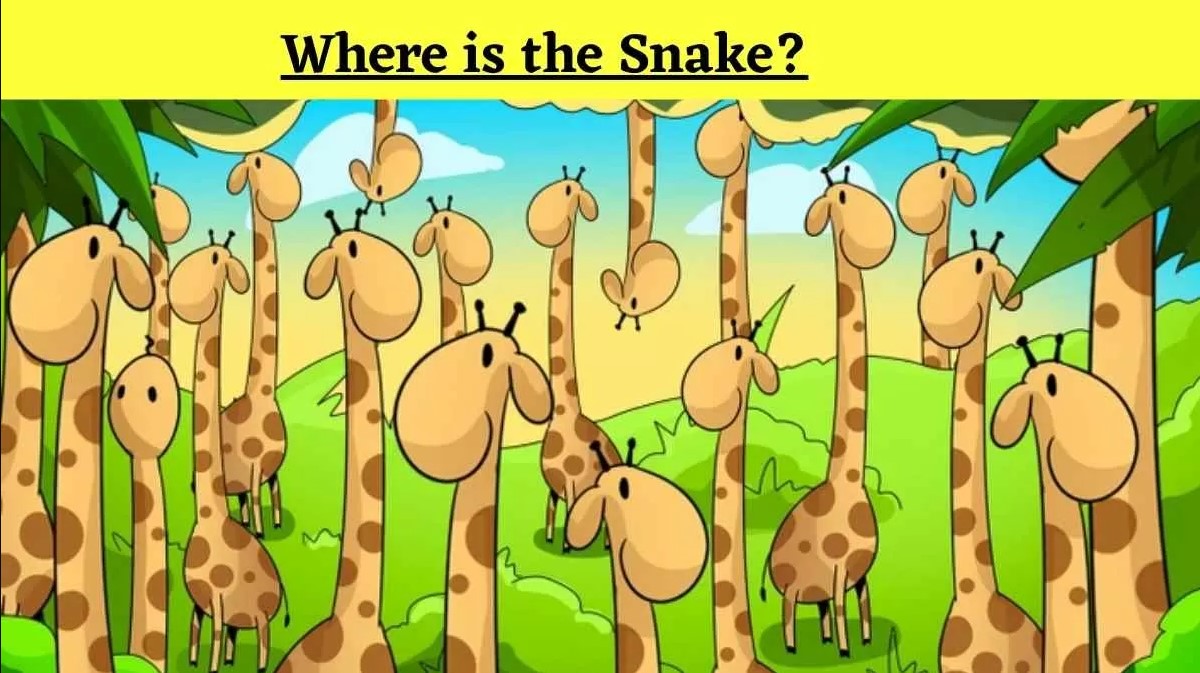 Οπτική ψευδαίσθηση: Μόνο αν έχεις παρατηρητικότητα ντετέκτιβ θα βρεις το φίδι σε 6 δευτερόλεπτα