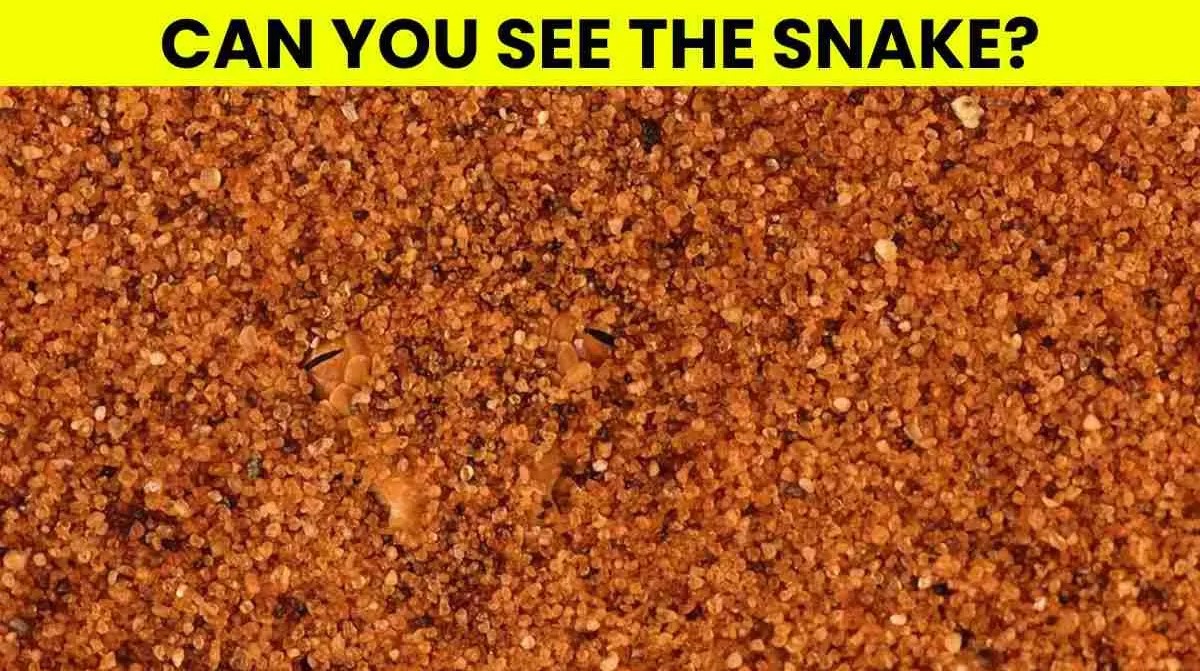 Οπτική ψευδαίσθηση: Μόνο το 1% των ανθρώπων θα βρει το φίδι σε 5 δευτερόλεπτα