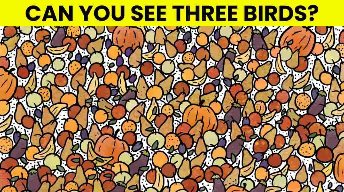 Οπτική ψευδαίσθηση: Μόνο το 2% των ανθρώπων θα βρει τα 3 πουλιά σε 6 δευτερόλεπτα