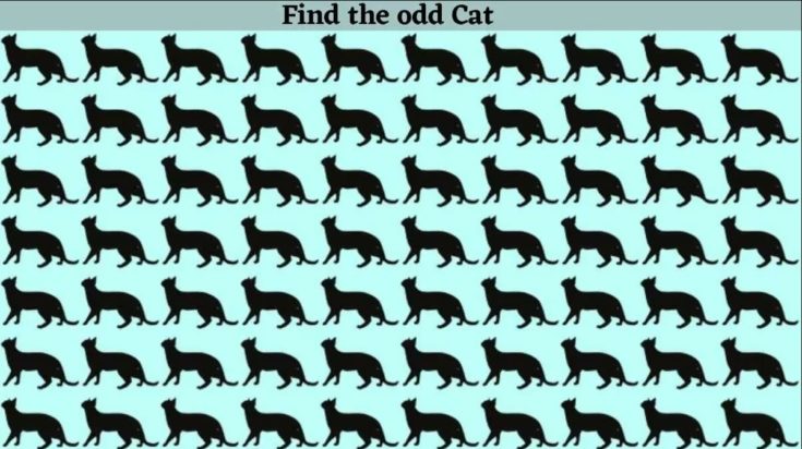 Οπτική ψευδαίσθηση: Μόνο 1 στους 10 ανθρώπους θα βρει την διαφορετική γάτα σε 8 δευτερόλεπτα