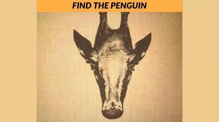 Οπτική ψευδαίσθηση: Μόνο το 3% των ανθρώπων μπορεί να βρει τον πιγκουίνος σε 6 δευτερόλεπτα