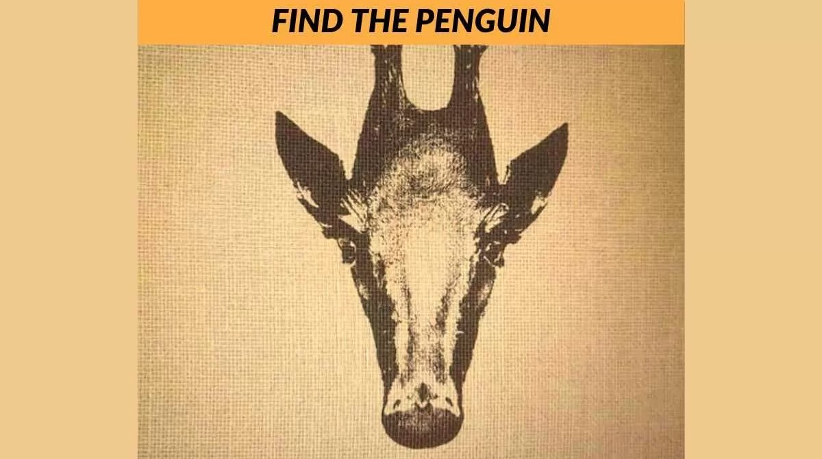 Οπτική ψευδαίσθηση: Μόνο το 3% των ανθρώπων μπορεί να βρει τον πιγκουίνος σε 6 δευτερόλεπτα