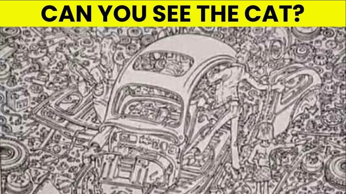 Οπτική ψευδαίσθηση: Μόνο αν έχετε παρατηρητικότητα ντετέκτιβ θα βρείτε την γάτα σε 6 δευτερόλεπτα