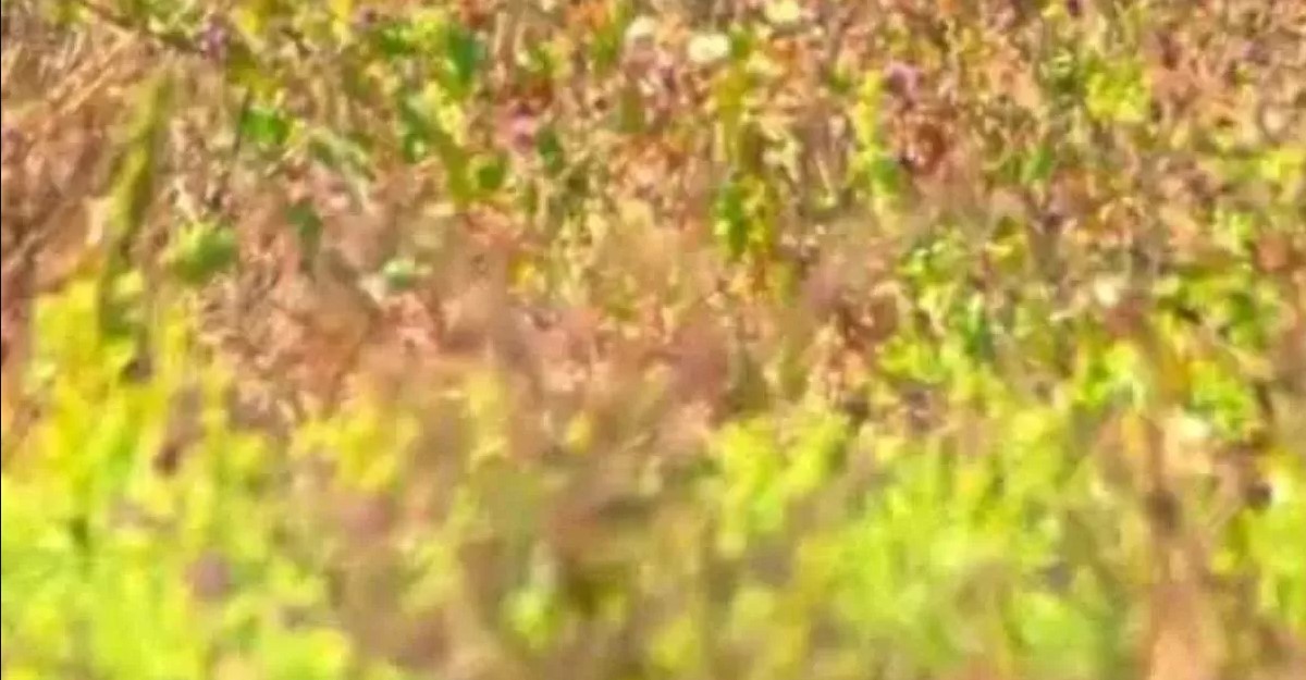 παλιά Αθήνα