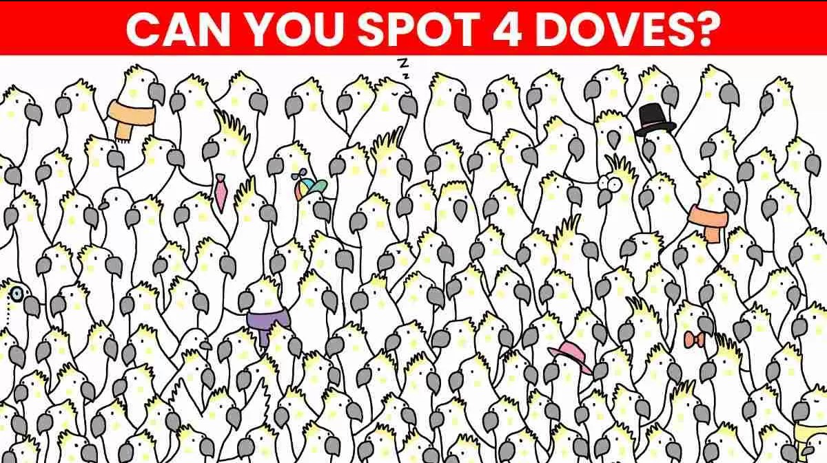 Οπτική ψευδαίσθηση: Μόνο το 1% των ανθρώπων θα βρει τα 4 περιστέρια σε 8 δευτερόλεπτα