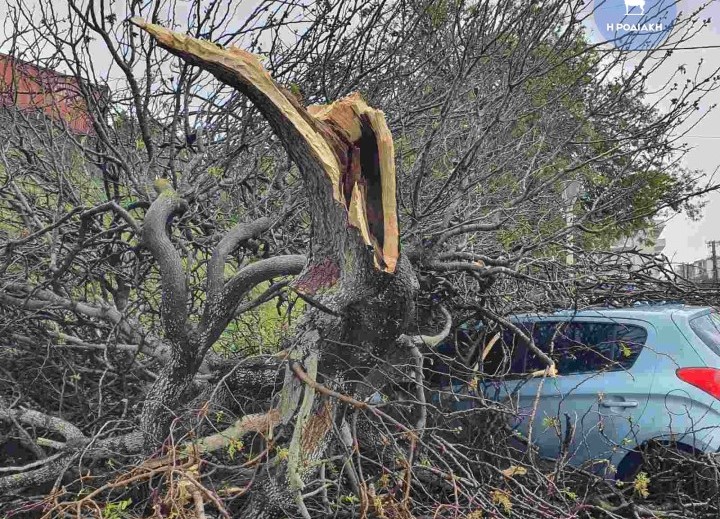 Ανεμοστρόβιλος «χτύπησε» την Ρόδο: Δέντρα έπεσαν σε αυτοκίνητα, έσπασαν τζαμαρίες – Δείτε φωτογραφίες