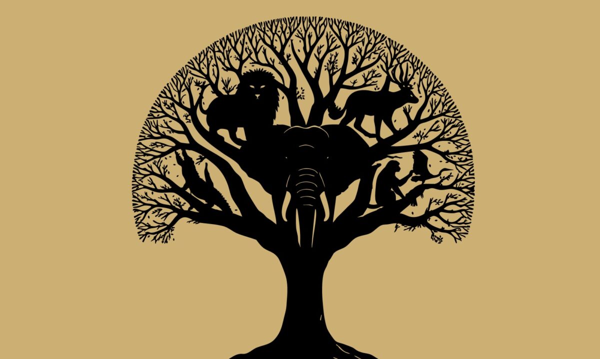 Τεστ προσωπικότητας: Το ζώο που βλέπετε πρώτα στην εικόνα αποκαλύπτει αν είστε ευγενικοί, τολμηροί ή γενναίοι