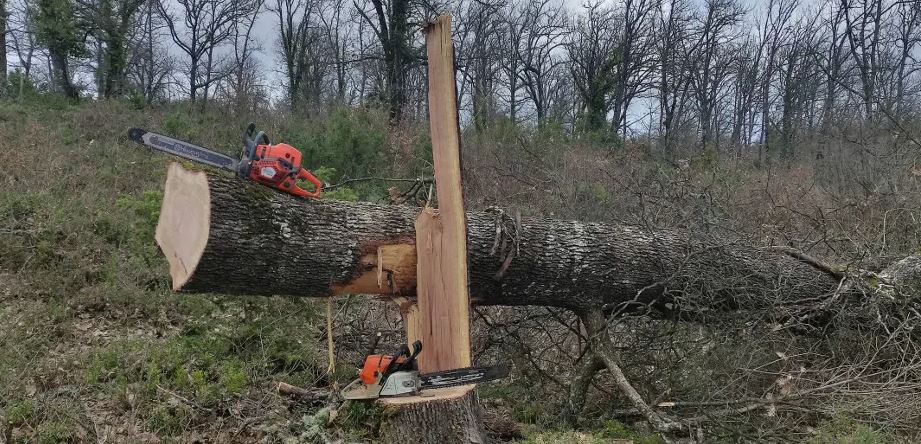 thessaloniki 1 | Lamianow.gr