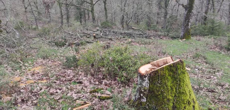 thessaloniki2 | Lamianow.gr