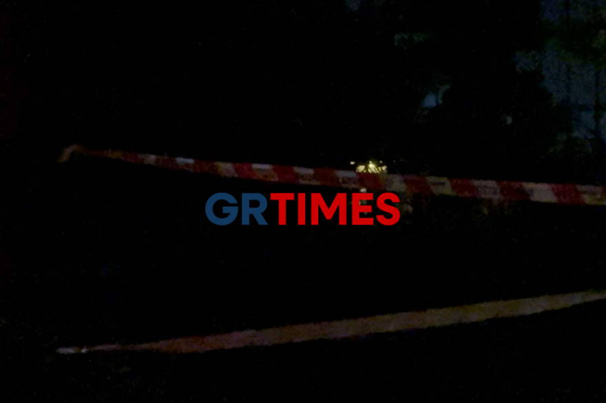 Τραγωδία στην Θεσσαλονίκη: 72χρονη σκοτώθηκε όταν την καταπλάκωσε η καγκελόπορτα στο εξοχικό της