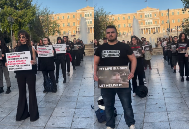 Σύνταγμα, Vegans