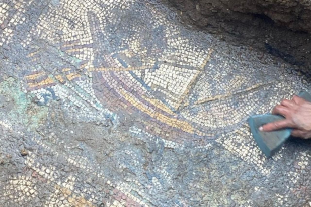 Μωσαϊκό που απεικονίζει λεπτομερώς μια γαλέρα και ένα ελάφι, το οποίο ανακαλύφθηκε στη Νίκαια της Βιθυνίας, στην Προύσα, στις 17 Μαΐου. Φωτογραφία: ΙΗΑ