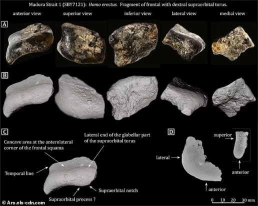Επιστήμονες έκαναν έργα και ανακάλυψαν κάτι μοναδικό - Η χαμένη πόλη που χτίστηκε πριν από 140.000 χρόνια στον βυθό του ωκεανού