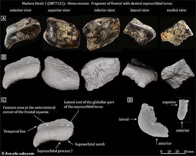 Επιστήμονες έκαναν έργα και ανακάλυψαν κάτι μοναδικό - Η χαμένη πόλη που χτίστηκε πριν από 140.000 χρόνια στον βυθό του ωκεανού