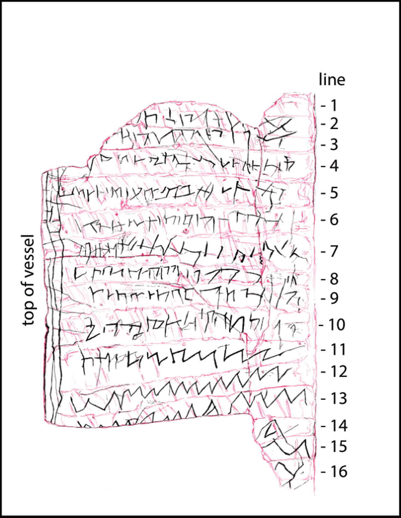 Σκίτσο της αραχνοειδούς γραφής που βρέθηκε λαξευμένη στην κούπα. 