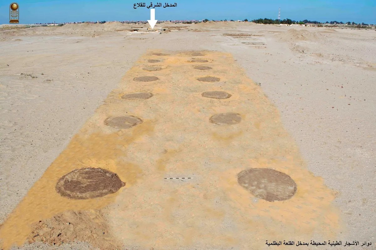 Φωτογραφία που δείχνει το σημείο που φυτεύονταν τα δένδρα στο τοπίο της ερήμου. Οι κύκλοι αυτοί, συγκρατούσαν τα δένδρα που οδηγούσαν στην είσοδο του φρουρίου. Φωτογραφία: Αιγυπτιακό Υπουργείο Τουρισμού και Αρχαιοτήτων