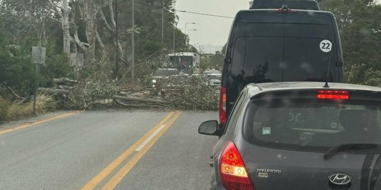 Ρέθυμνο: Ισχυροί άνεμοι και προβλήματα από πτώσεις δέντρων στη δυτική Κρήτη