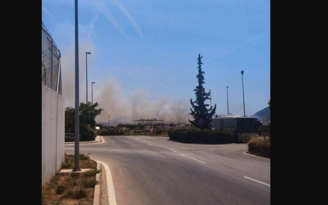 ΦΩΤΙΑ ΜΑΡΚΟΠΟΥΛΟ