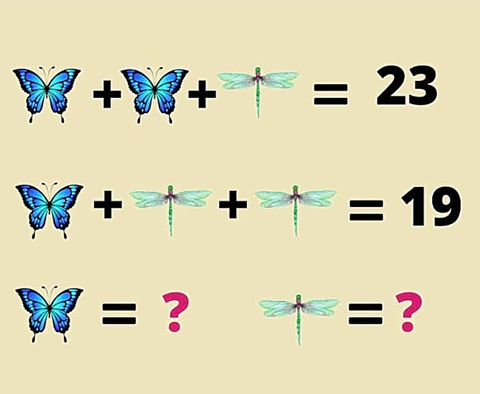 Τεστ IQ: Mπορείτε να βρείτε τον αριθμό που αντιστοιχεί σε κάθε έντομο σε 18 δευτερόλεπτα;