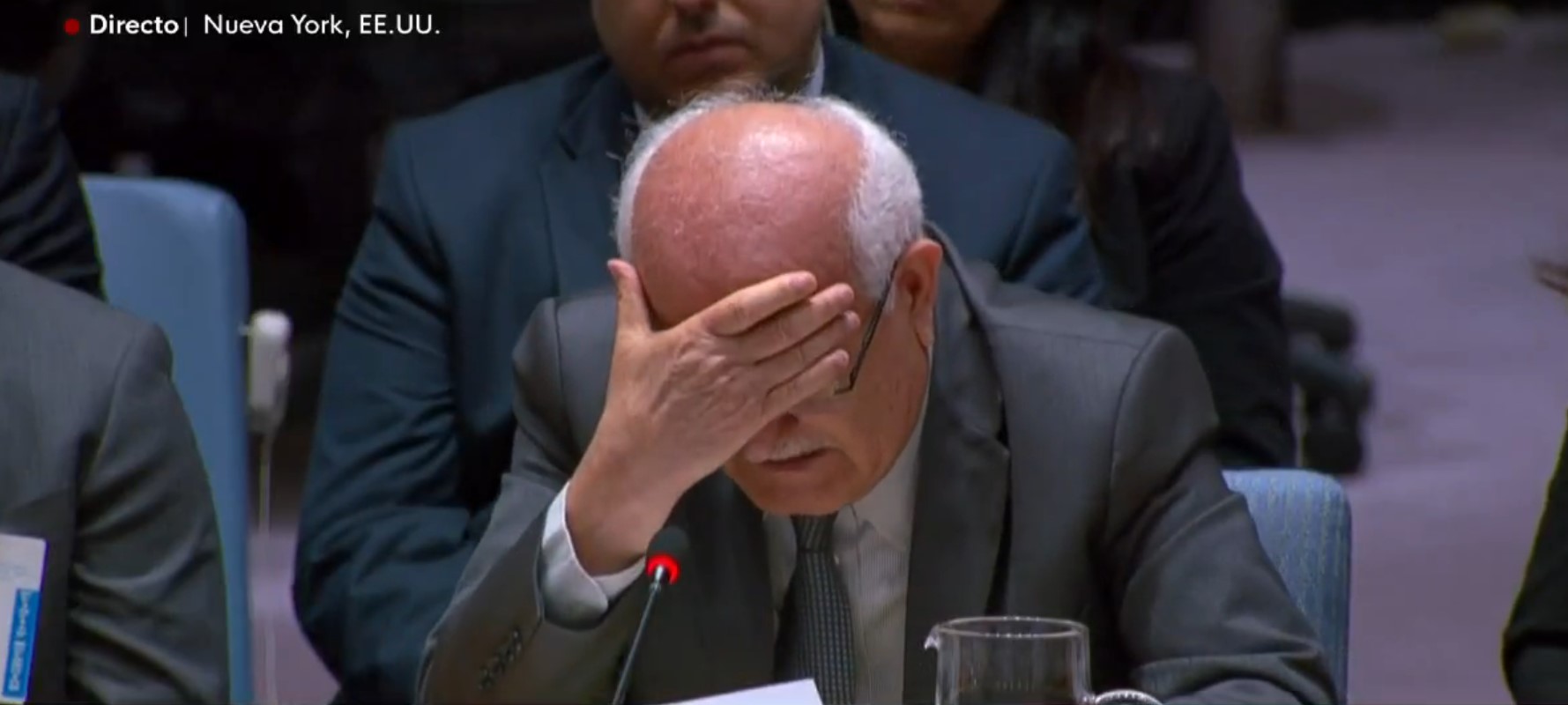 ΟΗΕ ΠΑΛΑΙΣΤΙΝΙΟΣ