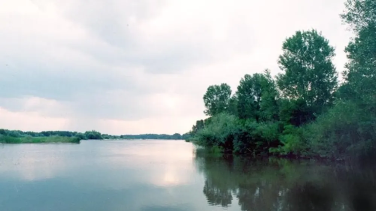 ποταμός Άρδας