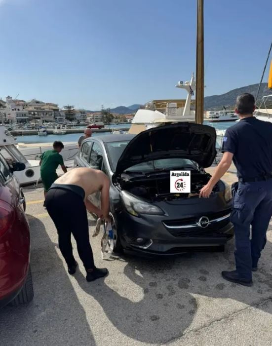 Αργολίδα: Αυτοκίνητο έπεσε σε λιμάνι – Εργάτης βούτηξε και απεγκλώβισε τον ηλικιωμένο οδηγό – ΦΩΤΟ