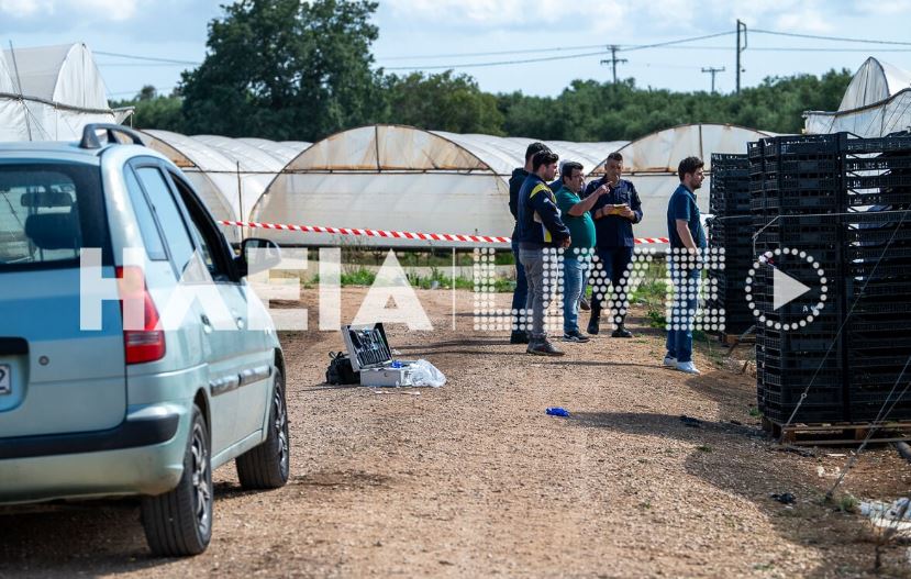 Ηλεία, δολοφονία