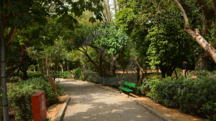 Ρέθυμνο: Κλειστός ο Δημοτικός Κήπος λόγω ισχυρών ανέμων – Αφρικανική σκόνη στα Χανιά