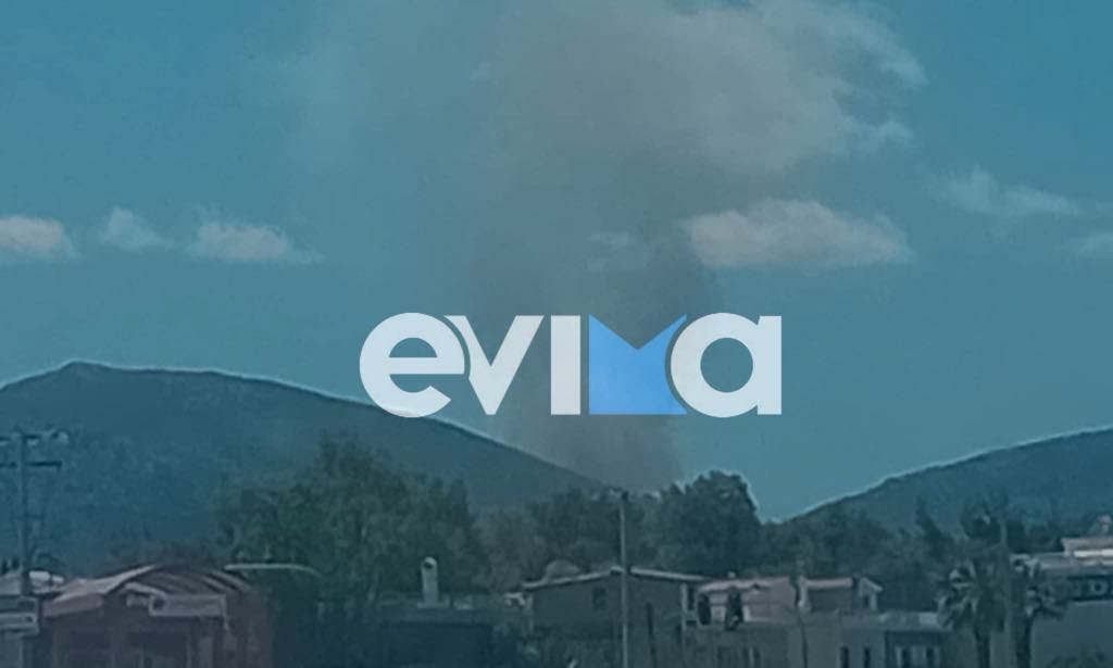 Φωτιά στην Ριτσώνα