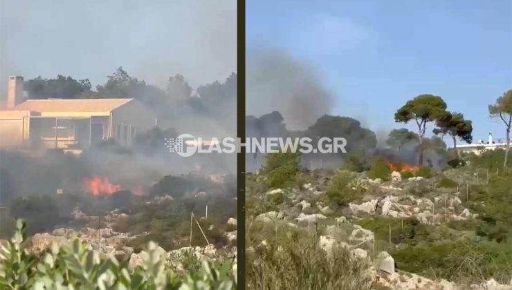 Φωτιά σε χορτολιβαδική έκταση στα Χανιά – ΒΙΝΤΕΟ