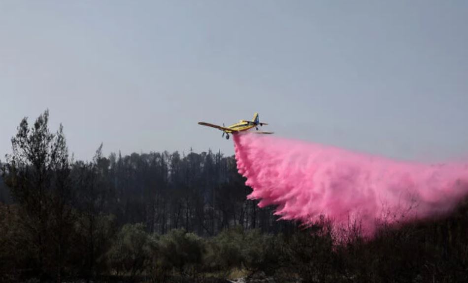 Ισραήλ: «Κόλαση» φωτιάς στην Ιερουσαλήμ – 5.000 στρέμματα έχουν γίνει στάχτη