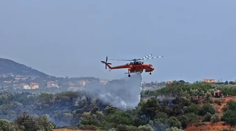Φωτιά στο Μαρκόπουλο: Καλύτερη η εικόνα, μάχη με διάσπαρτες εστίες – ΒΙΝΤΕΟ