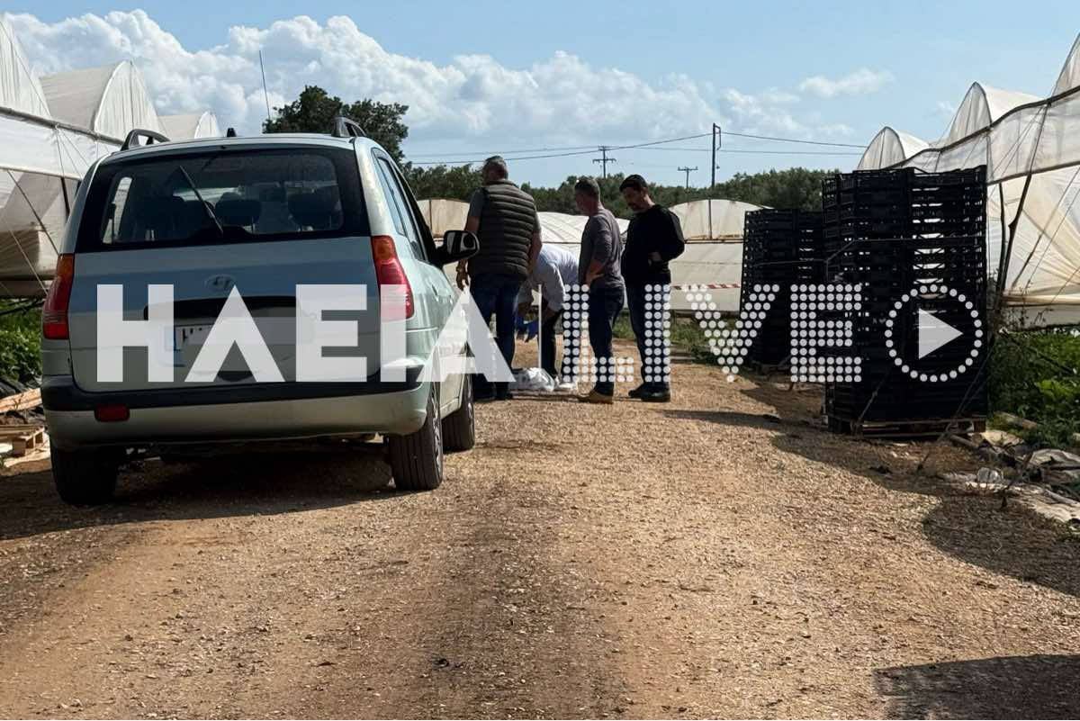Δολοφονία στην Ηλεία: Με μία μαχαιριά στην καρδιά σκότωσε ο 23χρονος Αιγύπτιος τον ομοεθνή του ενώ μάζευαν φράουλες