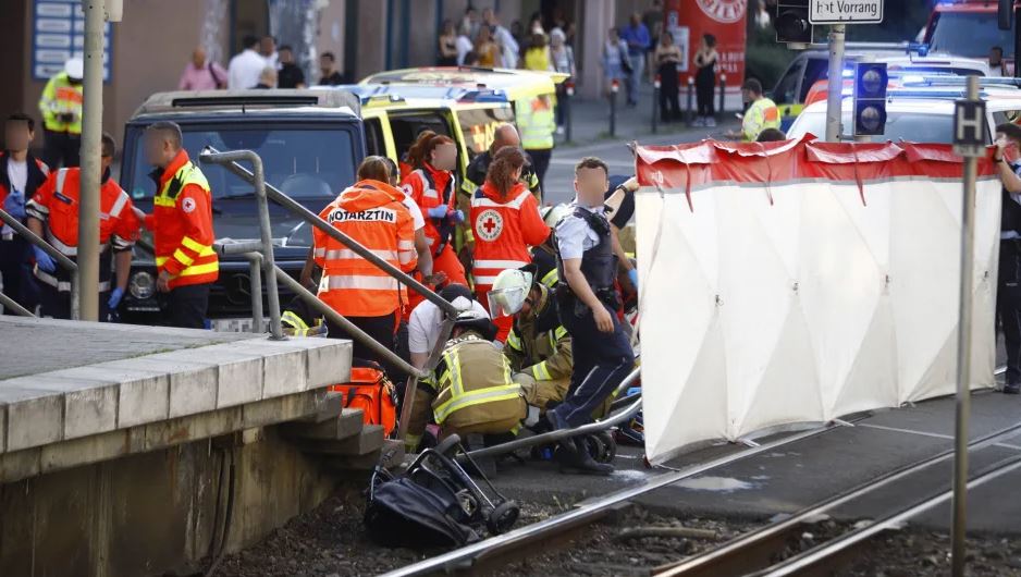 ΣΤΟΥΤΓΑΡΔΗ ΚΑΡΟΤΣΑΚΙ