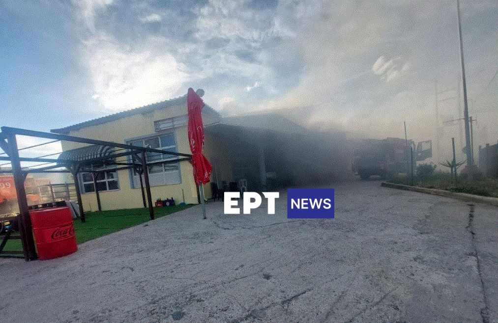 Τραγωδία στην Λέσβο: Σε ειδικό χώρο εντός του σούπερ μάρκετ διέμενε η άτυχη 65χρονη – Το σπίτι της είχε καταστραφεί στον σεισμό του 2017