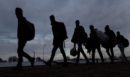 Επιστροφή μεταναστών στην Αφρική - Το «core group» και το προσωπικό «στοίχημα» του Θάνου Πλεύρη
