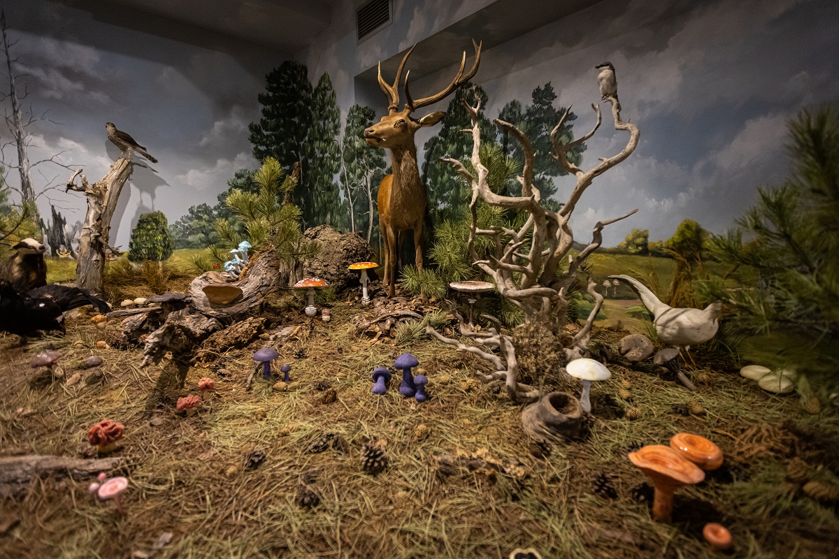 Μουσείο Φυσικής Ιστορίας Μετεώρων και Μουσείο Μανιταριών